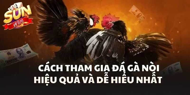 Cách tham gia Đá Gà Nòi hiệu quả và dễ hiểu nhất