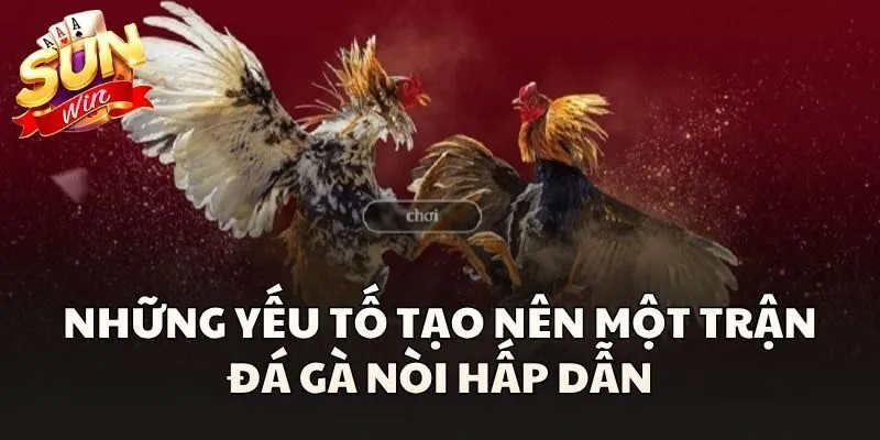 Những yếu tố tạo nên một trận Đá Gà Nòi hấp dẫn