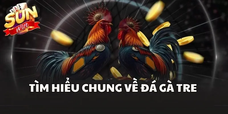 Tìm hiểu chung về Đá Gà Tre 